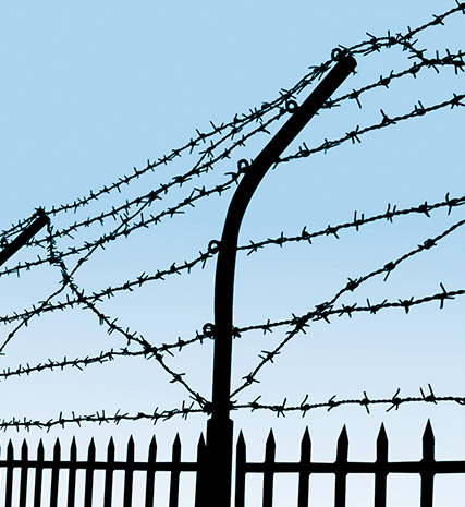 Barbed Wire