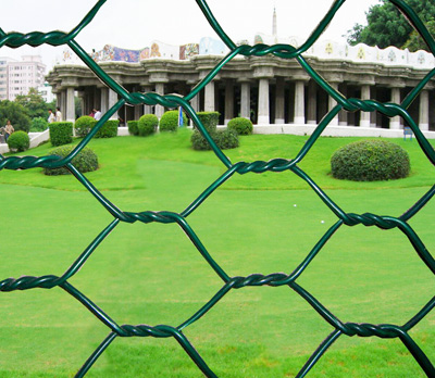 Hot Sale Electro Galvanized Hexagonal Wire Fence Mesh