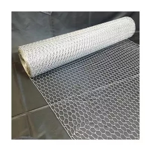 Galvanized Wire Mesh/Chicken Wire Mesh/Hexagonal Wire Netting