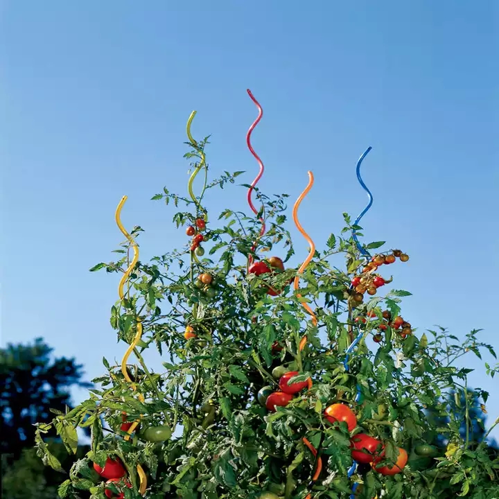 Tomato Growing Spiral/Plant Support Wire/Tomato Spiral Wire