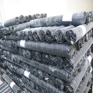 Galvanized Wire Mesh/Gabion Walls & Stainless Steel Hexagonal Chicken Mesh