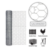 Galvanized or PVC Galvanized Stainless Steel Chicken Wire Hexagonal Wire Mesh