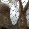 Hexagonal Mesh Fence/Chicken Wire Netting/Rabbit Wire Netting