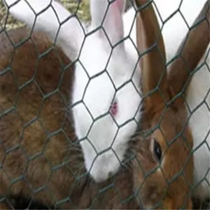 Hexagonal Mesh Fence/Chicken Wire Netting/Rabbit Wire Netting