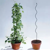 Tomato Growing Spiral/Plant Support Wire/Tomato Spiral Wire