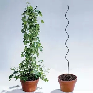 Tomato Plant Support