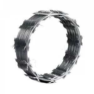 Low Price Concertina Hot Dipped Galvanized Razor Barbed Wire