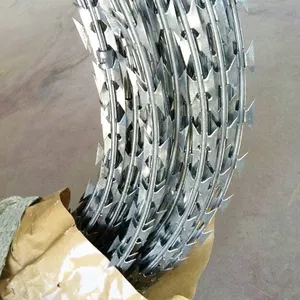 Security Protected Razor Barbed Wire (BTO-28)