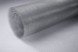 High Quality Galvanized Welded Wire Mesh 