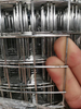 Building Material PVC Coating Galvanized Iron Welded Wire Mesh