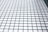 PVC Coated Galvanized Welded Wire Mesh for Fence