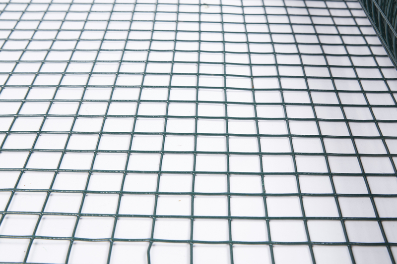 PVC Coated Galvanized Welded Wire Mesh for Fence