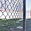 High Quality Galvanized/PVC Chain Link Fence on Sale