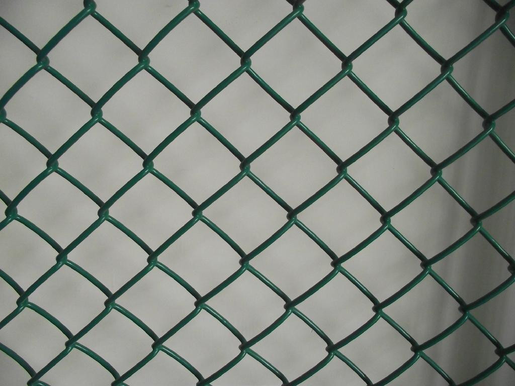 Best Pricing PVC Coated Chain Link Fence