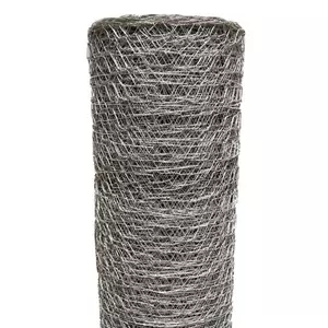 Competitive Factory Price Galvanized Hexagonal Wire Mesh