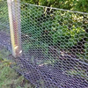 Galvanized Stainless Steel/Chicken Wire/Garden Fence/Hexagonal Wire Mesh