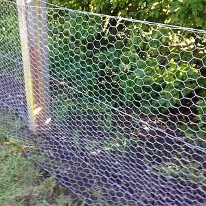 Hot Sale Electro Galvanized Hexagonal Wire Fence Mesh