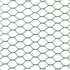 Hot Sale Electro Galvanized Hexagonal Wire Fence Mesh