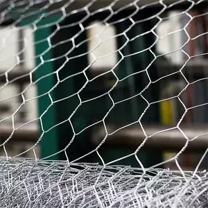 Galvanized Wire Mesh/Gabion Walls & Stainless Steel Hexagonal Chicken Mesh