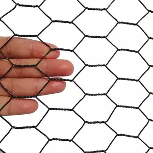 Galvanized Wire Mesh/PVC Coated Galvanized Hexagonal Wire Netting Chicken Mesh