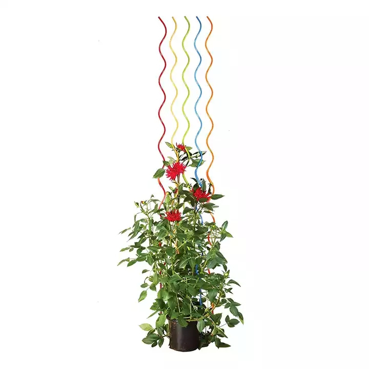 Spiral Metal Wire Tomato Support