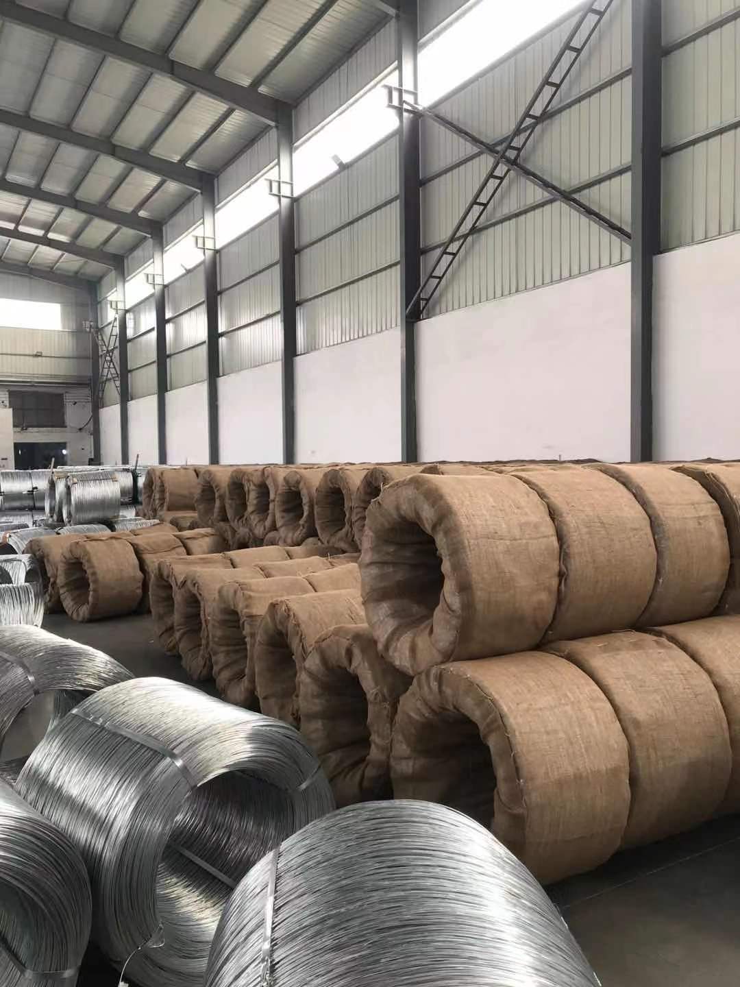 Electro Galvanized Iron Wire 