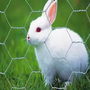 Chicken Rabbit Wire Mesh