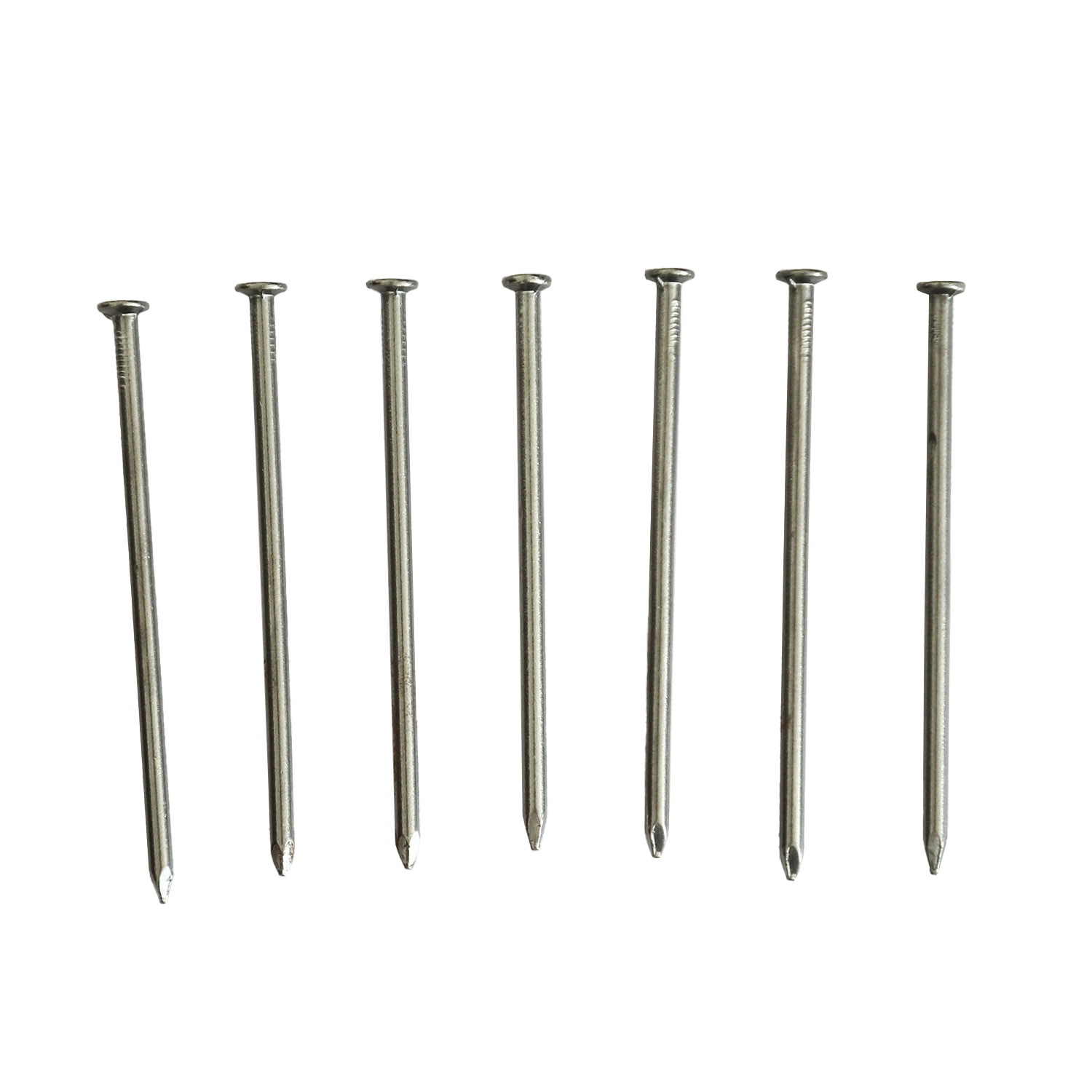 Galvanized Steel Common Polished Iron Nail