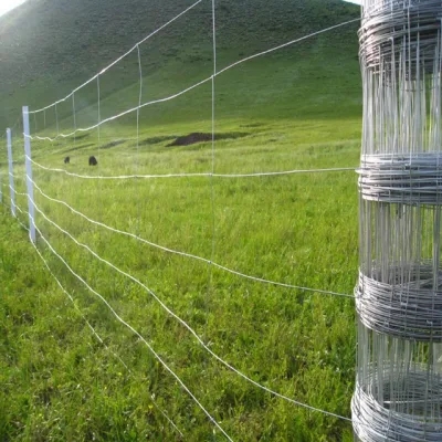 Galvanized Field Fencing Livestock Goat Sheep Cow Deer Wire Grassland Field Fence