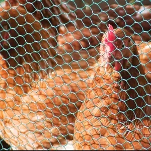 Hexagonal Mesh Fence/Chicken Wire Netting/Rabbit Wire Netting