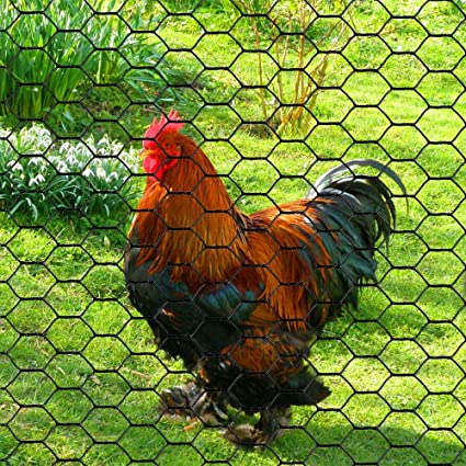 Galvanized Wire Mesh/PVC Coated Galvanized Hexagonal Wire Netting Chicken Mesh