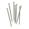 Galvanized Steel Common Polished Iron Nail