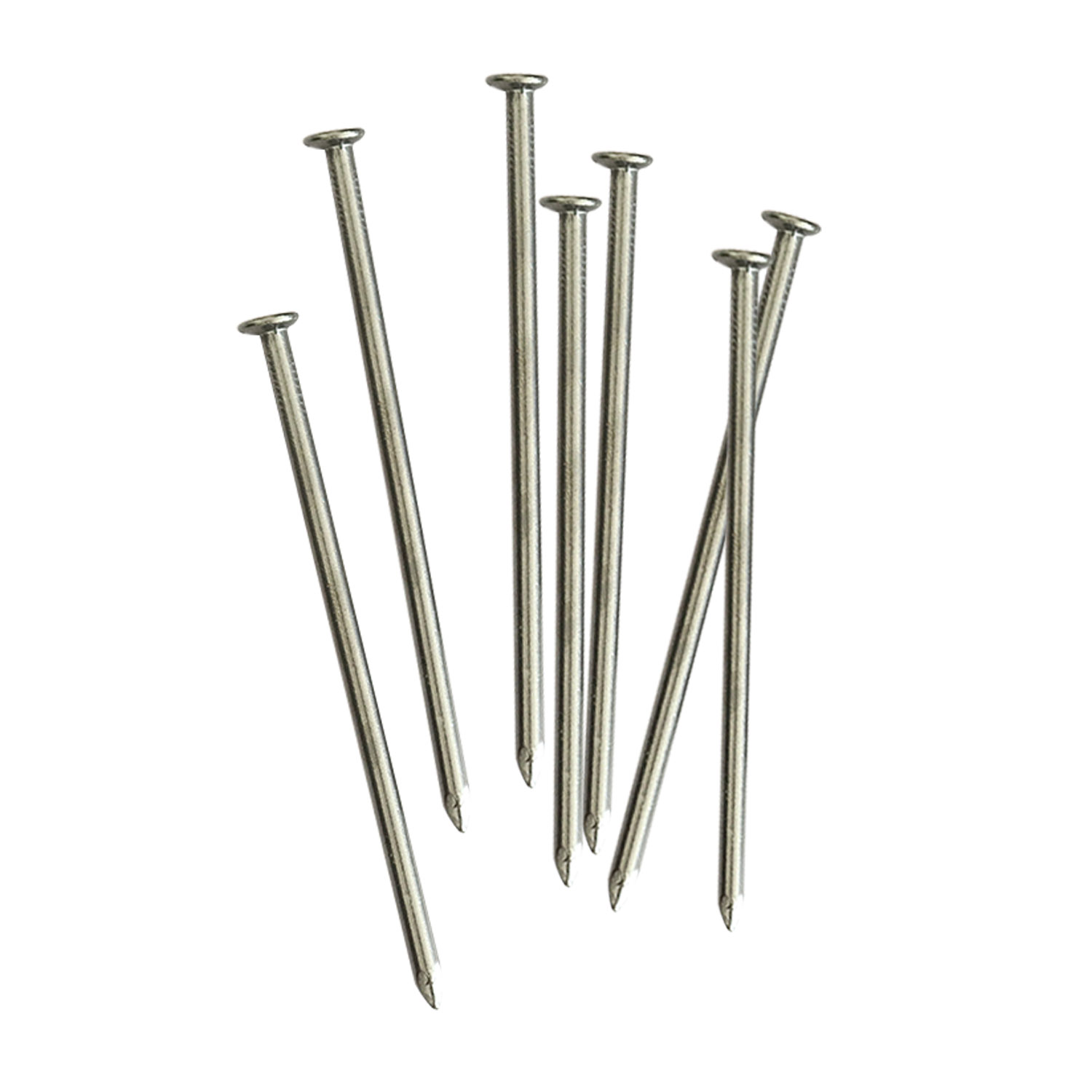 Galvanized Steel Common Polished Iron Nail