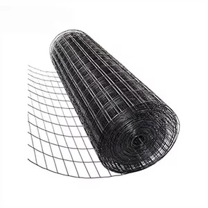 Galvanized/Non Galvanized Welded Wire Mesh for Fencing