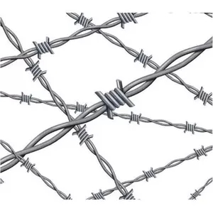 Galvanized Barbed Wire