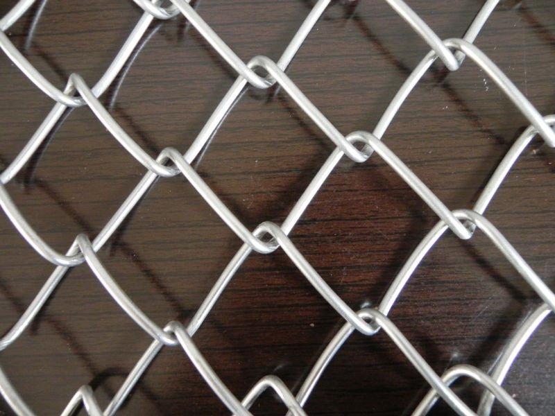 Galvanized Wire Mesh/Chain Link Fence/ Glvanized/PVC Coated Chain Link Fence