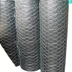 Galvanized Wire Mesh/Gabion Walls & Stainless Steel Hexagonal Chicken Mesh