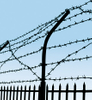 Factory Direct Sale Hot-Dipped Galvanized Secure Barbed Fencing Barbed Wire