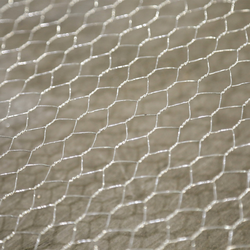 High Quality Galvanized Hexagonal Chicken Wire Mesh