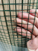 Hot-Dipped Galvanized Welded Wire Mesh for Chicken