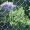 Chain Link Fence for Goats