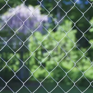 Chain Link Fence for Goats