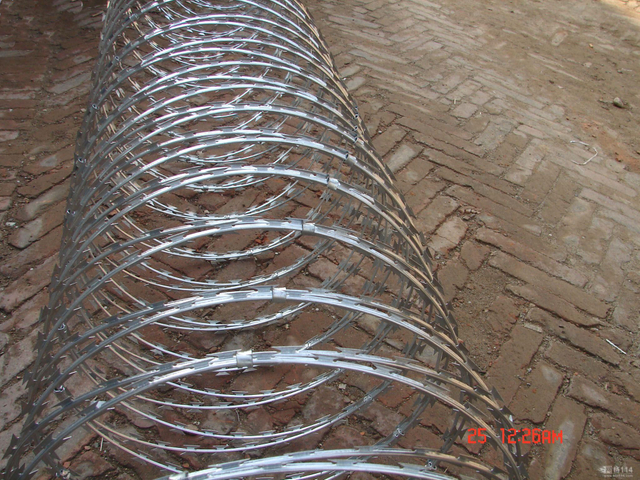 Iron Galvanized Fencing Razor Barbed Wire for Safety Protection