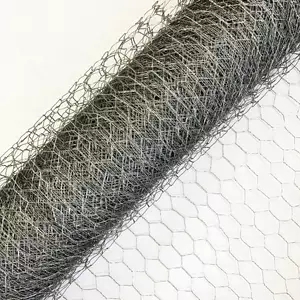 Galvanized Wire Mesh/Gabion Walls & Stainless Steel Hexagonal Chicken Mesh