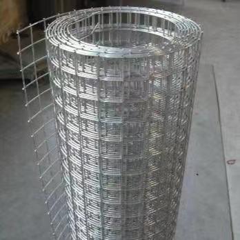 Building Material PVC Coating Galvanized Iron Welded Wire Mesh